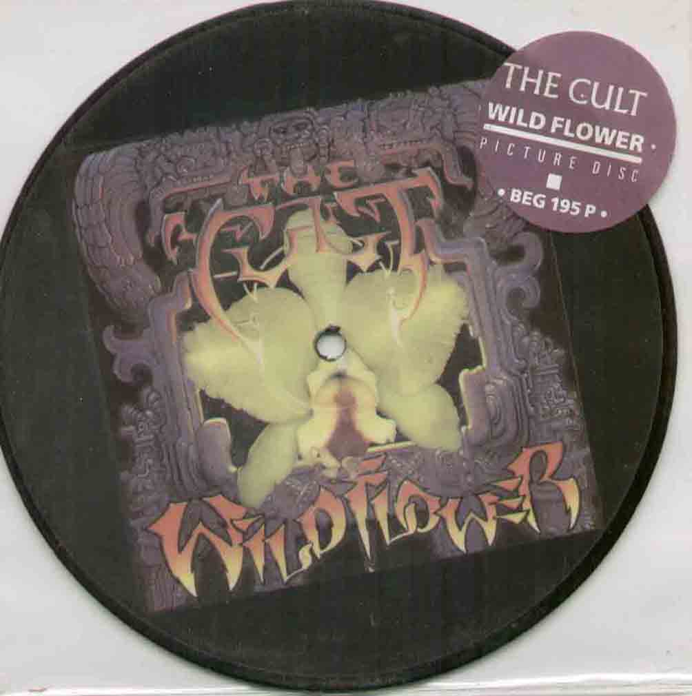 the cult wildflower